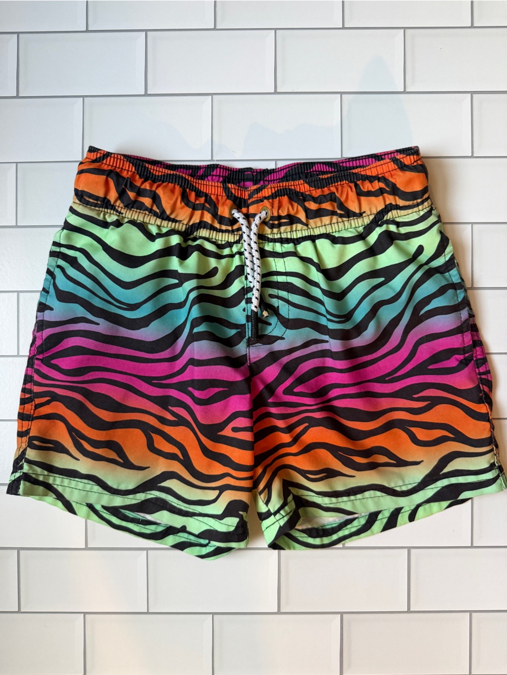 🌈6-7🦓 Art Class Rainbow Zebra Swim Trunks - Pink, Orange, Green, Blue, Black